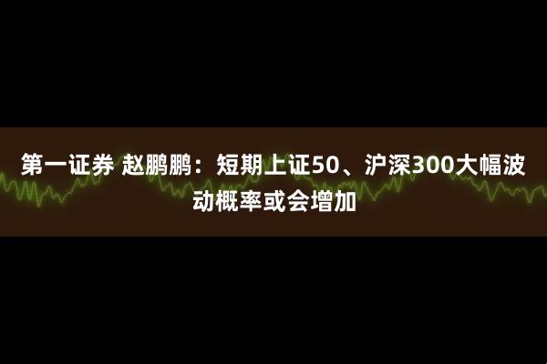 第一证券 赵鹏鹏：短期上证50、沪深300大幅波动概率或会增加