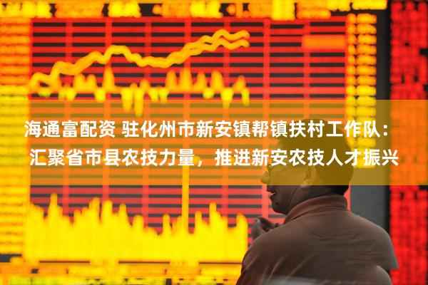 海通富配资 驻化州市新安镇帮镇扶村工作队： 汇聚省市县农技力量，推进新安农技人才振兴