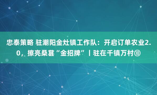 忠泰策略 驻潮阳金灶镇工作队：开启订单农业2.0，擦亮桑葚“金招牌”丨驻在千镇万村⑩