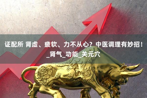 证配所 肾虚、疲软、力不从心？中医调理有妙招！_肾气_功能_关元穴