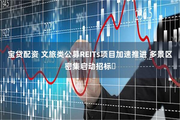 宝贷配资 文旅类公募REITs项目加速推进 多景区密集启动招标​