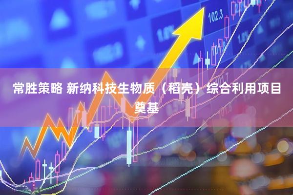 常胜策略 新纳科技生物质（稻壳）综合利用项目奠基