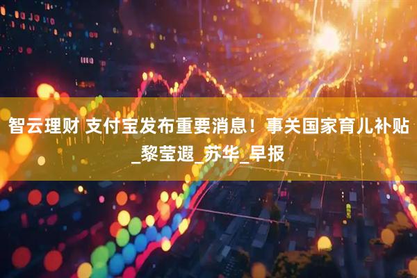 智云理财 支付宝发布重要消息！事关国家育儿补贴_黎莹遐_苏华_早报