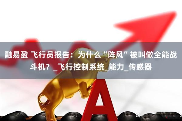 融易盈 飞行员报告：为什么“阵风”被叫做全能战斗机？_飞行控制系统_能力_传感器