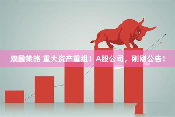 双盈策略 重大资产重组！A股公司，刚刚公告！