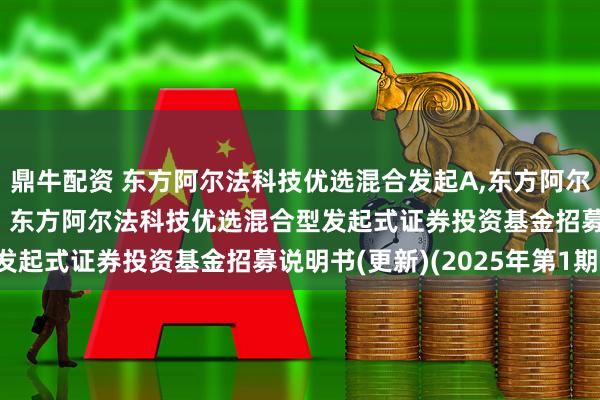 鼎牛配资 东方阿尔法科技优选混合发起A,东方阿尔法科技优选混合发起C: 东方阿尔法科技优选混合型发起式证券投资基金招募说明书(更新)(2025年第1期)