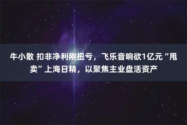 牛小散 扣非净利刚扭亏，飞乐音响欲1亿元“甩卖”上海日精，以聚焦主业盘活资产