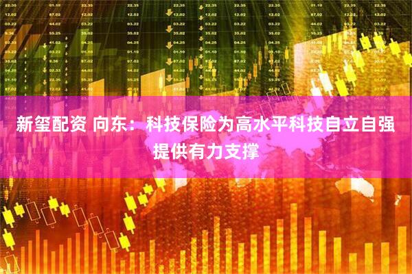 新玺配资 向东：科技保险为高水平科技自立自强提供有力支撑
