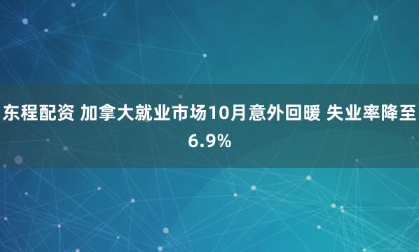 东程配资 加拿大就业市场10月意外回暖 失业率降至6.9%