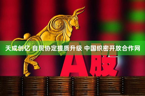 天成创亿 自贸协定提质升级 中国织密开放合作网