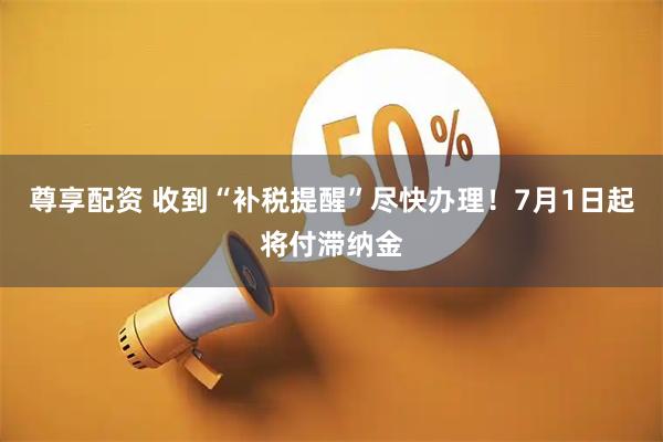 尊享配资 收到“补税提醒”尽快办理！7月1日起将付滞纳金